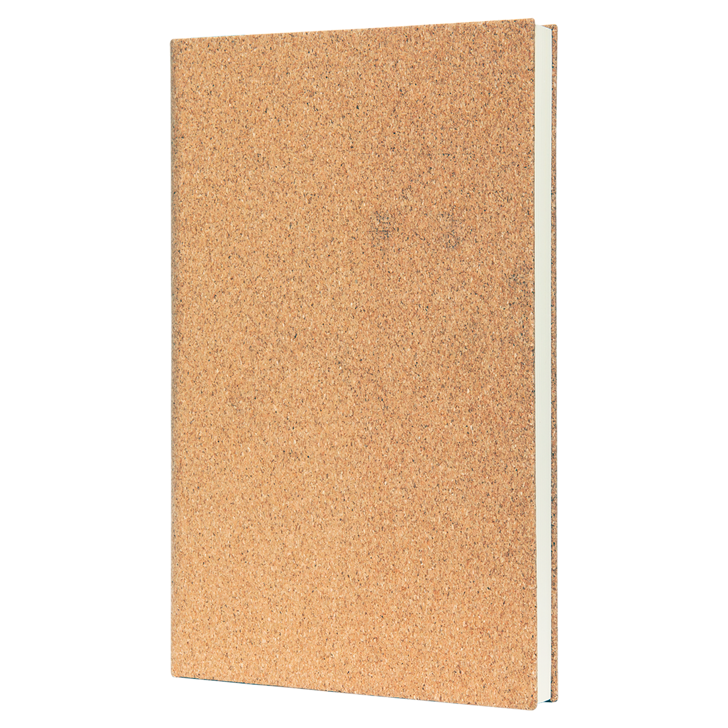 5.25X8.25 CORK SKETCH